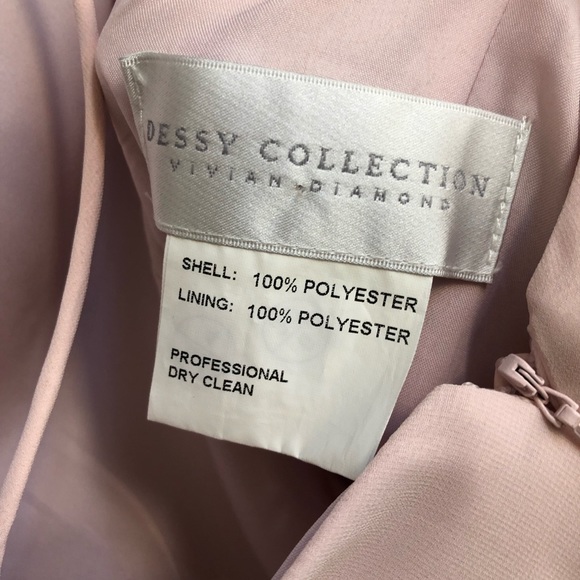 Dessy Dress in Blush - Picture 5 of 6